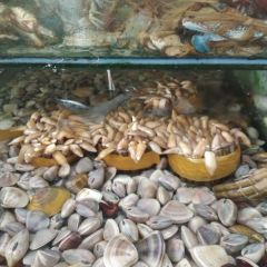乐兴海鲜餐厅 User Photo