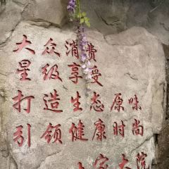 土家大院 User Photo