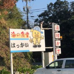Kakigoya 여행 사진