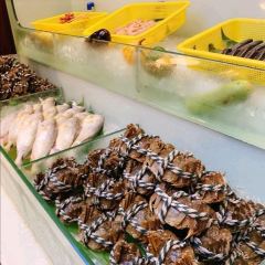 O Café 여행 사진