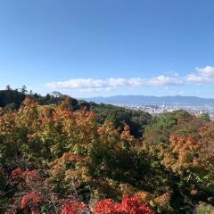 Gion Nishikawa User Photo