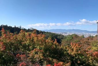 Gion Nishikawa User Photo