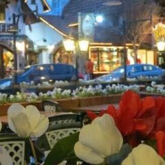Cafe Rissen User Photo