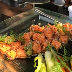 Hippopotamus User Photo