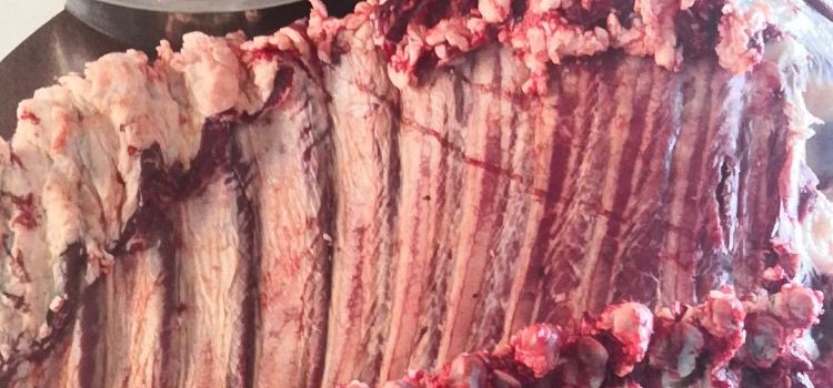 火哥牛肉馆