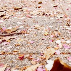 Maruya Honten Nagoya Station Branch User Photo