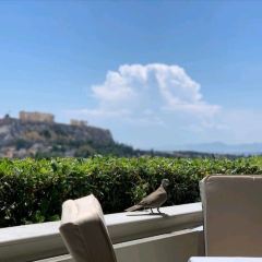 GB Roof Garden User Photo