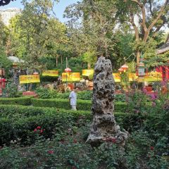 Bai Jia Da Yuan Restaurant User Photo