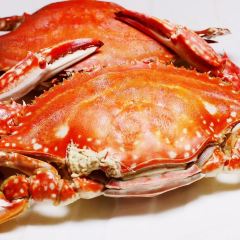 来之顺海鲜菜馆·青岛菜(栈桥店) User Photo