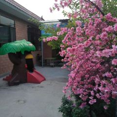 大丰收农家园 User Photo