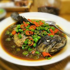 Pipaxiaozhu User Photo