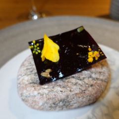 noma User Photo