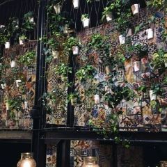 Llama Restaurante & Bar張用戶圖片