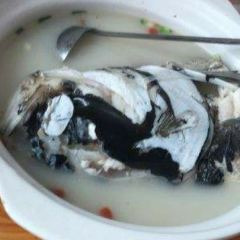 SONG DU TU CAI GUAN User Photo