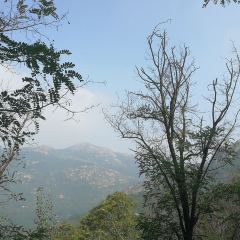 天池食府 User Photo