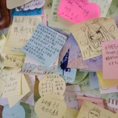 乌龍煎(白蒲店) User Photo