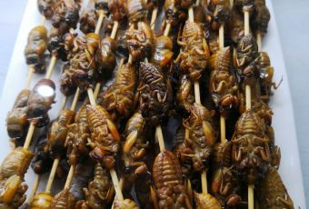 楼中楼酒店(汴梁小宋城店) User Photo