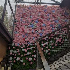 香格麗舍音樂餐廳張用戶圖片