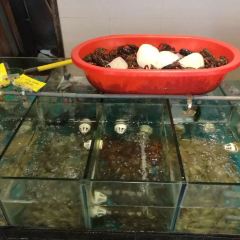 OLD NINGBO ALLEY RESTAURANT User Photo