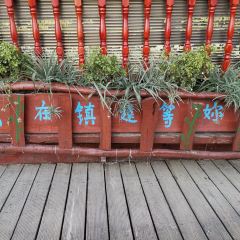 袁妹豆腐脑 User Photo