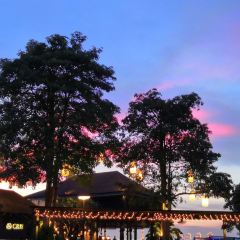 Rimpa Lapin User Photo