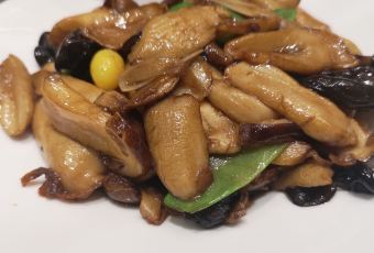 Jin Cai Collection User Photo