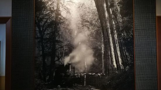 阿里山神木遗迹在神木车站附近，从种子到倒木，经历数千年风吹雨