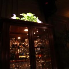 VITIS HOUSE張用戶圖片