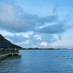 Calypso Floating Bar User Photo