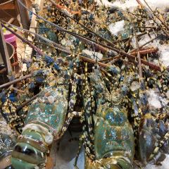 KO SEAFOOD User Photo