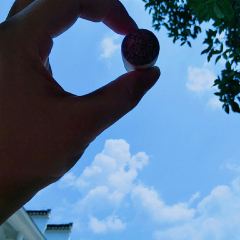 云里居 User Photo