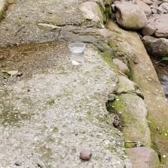 水口后坞农庄 User Photo