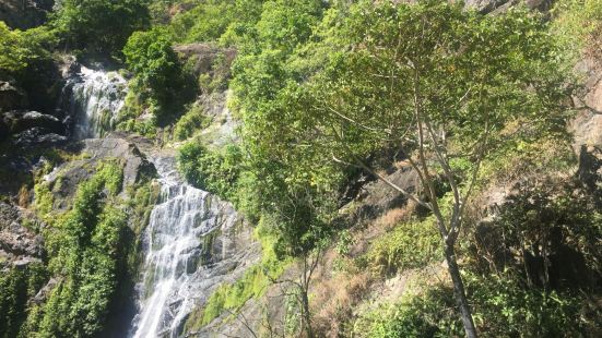 拜伦瀑布是库兰达原始森林中一处景色非常壮美的瀑布景观。瀑布的