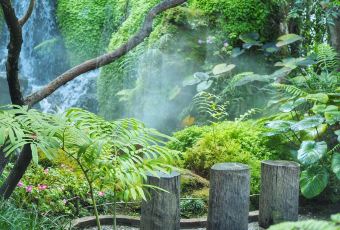 Chom Cafe and Restaurant User Photo