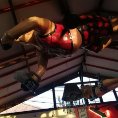 Hog Wild | Best Pork Ribs Restaurant User Photo