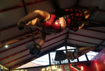 Hog Wild | Best Pork Ribs Restaurant User Photo