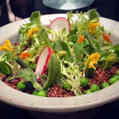 Grand Dragon User Photo