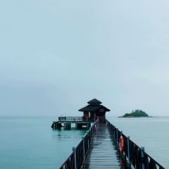 Calypso Floating Bar User Photo