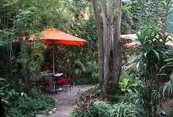 Ty Potes用戶圖片