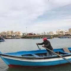 Al Marsa張用戶圖片