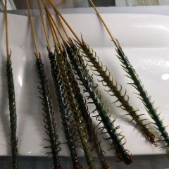 小宋城張用戶圖片