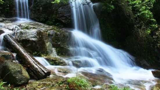 这个生态园离公园不远。去猫儿山玩的时候，没上山之前，可以在下