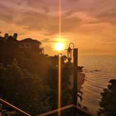 Rimpa Lapin User Photo