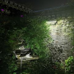 Pipaxiaozhu User Photo