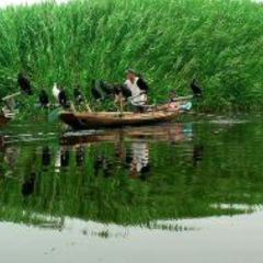 水上人家 User Photo