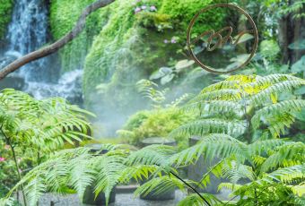 Chom Cafe and Restaurant User Photo