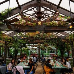 The Grounds of Alexandria User Photo