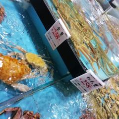 丽贝蒸鲜工坊 User Photo