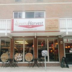 Sowers Harvest Café User Photo
