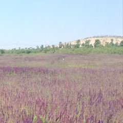 Zimo Huahai Xunyicao Manor User Photo